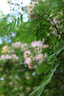 松下S5M2（20-60mm F3.5-5.6）（Panasonic）S5二代 全画幅微单相机 约2420万有效像素 新相位混合对焦 实拍图