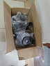 PROIRON普力艾 哑铃男健身家用可调节纯铁20KG家用杠铃+配35厘米连接杆 实拍图
