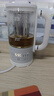 小熊（Bear）迷你养生杯养生壶煮茶器 办公室煮茶壶恒温烧水壶0.6升YSH-E06H1 实拍图