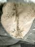 南极人全棉涤纶双拼夏凉被A类抗菌薄被子200x230cm双人空调被夏被 实拍图
