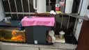 米家小米净水器11周年 台式净饮机NFC家用免安装RO反渗透即热原废分离水箱 净水一体机1级水效MRH142b 实拍图