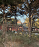 健田（JIANTIAN）儿童羽毛球拍户外玩具男女孩户外运动网球拍亲子防护款礼物 实拍图