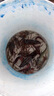 威露士清可新洗衣液柠檬香20.24斤（瓶2L+1L+袋1L*7+消毒液60ml*2）除螨 实拍图