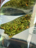 小罐茶冷泡茶茉莉普洱桂花龙井乌龙等4盒装&试饮共110g+冷泡杯（随机） 实拍图