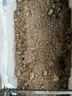 史丹利大块椰砖4.5KG 营养土椰糠养花通用型花土椰壳种菜专用脱盐椰子土 实拍图
