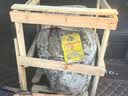 塔牌绍兴特产黄酒加饭酒10kg大坛装手工冬酿花雕酒半干型 16度 含酒吊 10L 1坛 实拍图