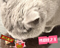 金赏猫罐头170g大罐装猫咪零食成猫通用金枪鱼营养猫湿粮拌饭多口味 混合口味12罐（随机多口味） 实拍图