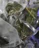 青叶（ShineYe）抽真空包装机全自动家用食品保鲜机大吸力商用不挑袋光面袋铝箔袋静电袋真空封口机 PW300不挑袋双泵单气嘴/切割刀30CM*6mm 晒单实拍图