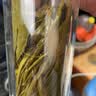 音朗茶叶绿茶 雨前特级太平猴魁2026新茶捏尖茶叶中秋礼盒送长辈250g 实拍图