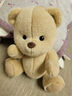 莉娜熊（TeddyTales）小熊玩偶毛绒玩具熊泰迪手作熊安抚娃娃送礼送人毕业礼物送女生 奶白色（明星款） 中号站姿约30cm 实拍图
