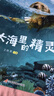 小红花0-3岁贴纸书（全8册）贴纸儿童手工儿童贴纸书幼儿园书籍宝宝贴贴画粘贴纸早教绘本启蒙认知书课外书自主阅读假期读物省钱卡  实拍图