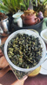 宝然乌龙茶 2026新茶安溪一级铁观音清香型600g罐装 茶叶自己喝送长辈 实拍图