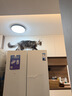 京东京造 生骨肉双拼全价猫粮-鸭肉生姜10kg 成幼猫冻干肠胃泪痕流浪救助 实拍图