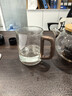 泥也玻璃杯茶杯水杯子玻璃茶杯男士泡茶专用玻璃水杯带把手绿茶马克杯 实拍图