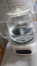 美的（Midea）【价保618】花漾0胶水全玻璃全自动养生壶 母婴烧水壶恒温电热水壶煮茶器花茶壶1.2L YS12B102 实拍图
