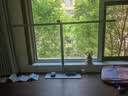 孩视宝国AA桌面大路灯儿童学生台灯护眼学习防蓝光全光谱学习桌专用灯 S01B-100W【升级款】红光+晨活光 实拍图