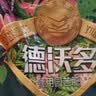 德沃多进口通用营养土养花土兰花土多肉土种菜种花植物发财树绿萝草莓土 进口营养土15L 实拍图