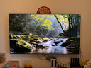 TCL【价保618】SQD-MiniLED电视 85Q10M Pro 85英寸 100%全局高色域 超级蝶翼华曜屏 能效补贴 实拍图