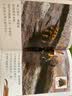 软件功能测试自动化实战教程(异步图书出品) 实拍图