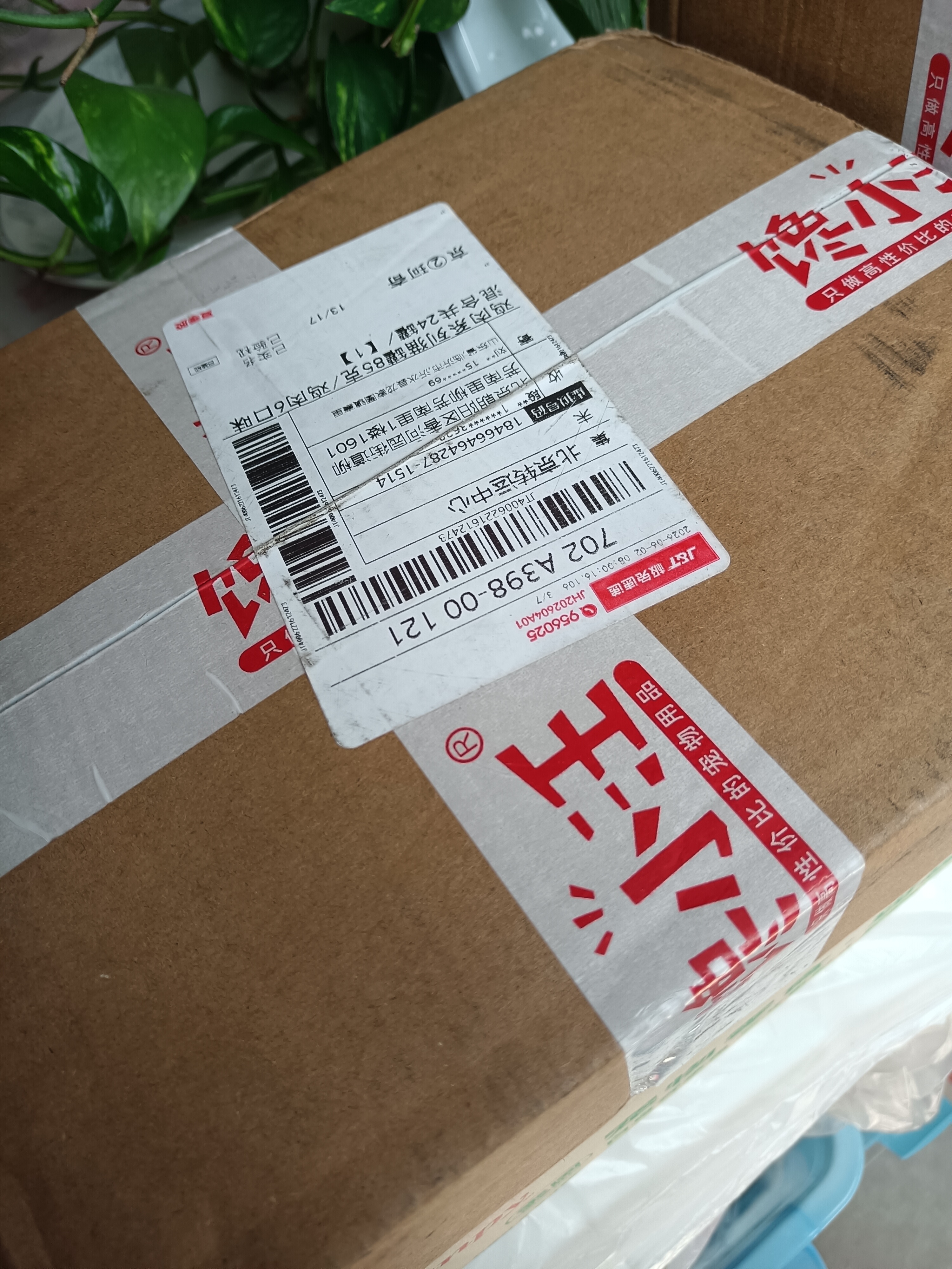馋小汪猫罐头猫咪零食主食罐成幼猫营养湿粮鸡肉丝高汤罐85克整箱猫零食 六口味混合畅享装 24罐【囤货超值装】 实拍图