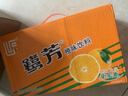 鹭芳冬瓜茶菊花茶植物饮料芦柑饮料248ml*24盒整箱解腻清爽凉茶饮品 橙饮料248ml*24盒 实拍图
