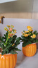 巴拉巴拉儿童凉鞋女童男童夏款男孩女孩宝宝沙滩鞋小童包头学步凉拖鞋幼儿 实拍图