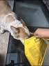 疯狂小狗宠物零食礼包肉干磨牙棒泰迪洁齿大满贯礼盒1.26kg 实拍图