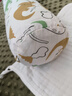 babycare婴儿安抚枕头宝宝多功能抱枕透气枕头6月-6岁-比奇角恐龙39*12cm 实拍图