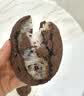 展艺无盐配方黄油500g 常温无水0反式脂肪酸0钠牛排面包蛋糕烘焙原料 实拍图
