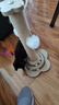 HELLOJOY猫抓柱剑麻猫抓板猫玩具耐抓耐磨不掉屑猫爬架立式自嗨解闷用品 实拍图