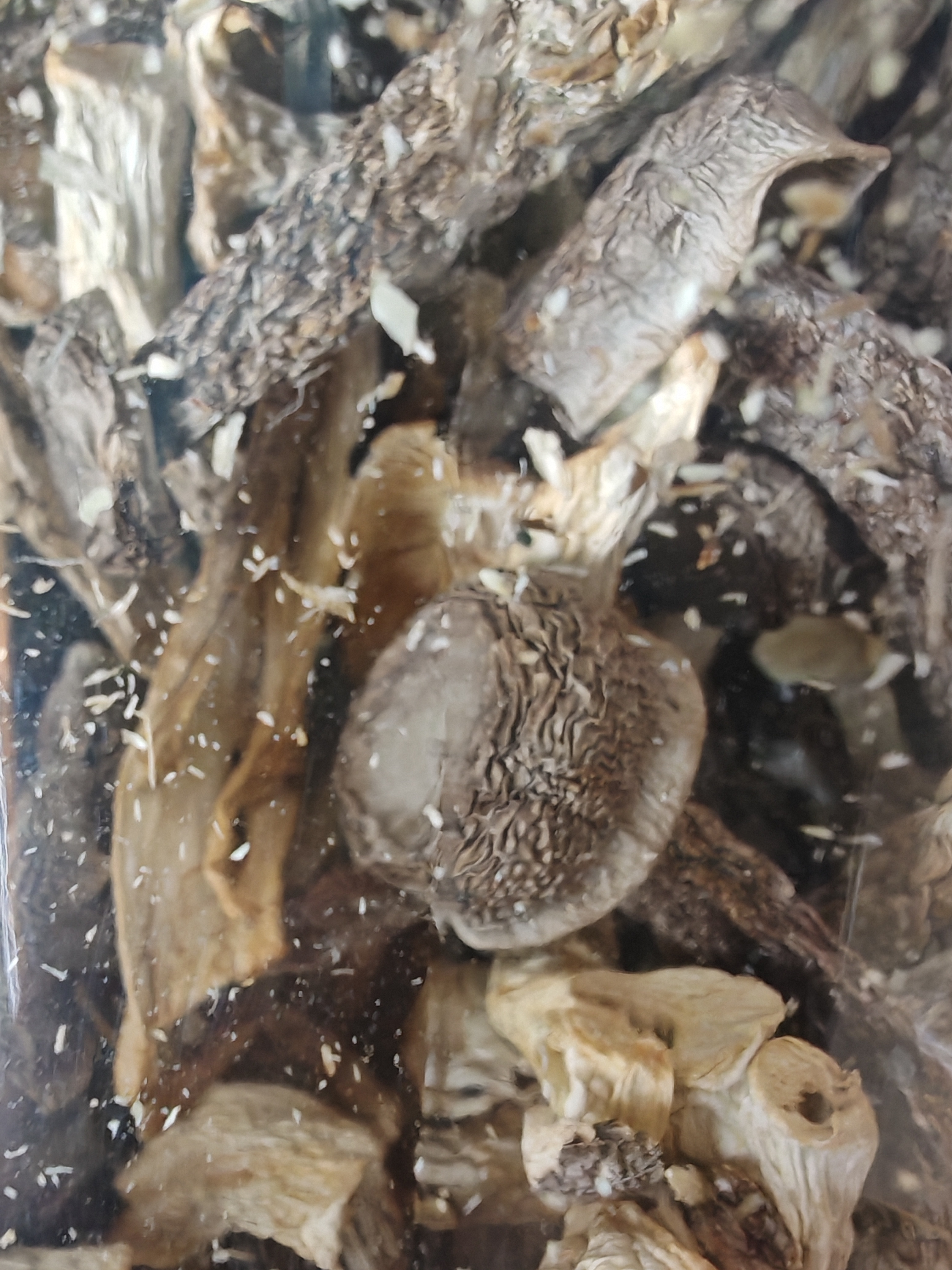 方家铺子中华老字号 鹿茸菇350g 鹿茸菌菇 炒菜煲汤火锅食材 实拍图
