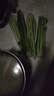大芹菜产地直销新鲜健康无添加现挖现发生吃凉拌脆甜多汁带叶子 芹菜5斤 实拍图