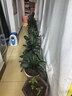 史丹利有机营养土10L+复合肥2.5斤套餐 园艺有机土通用型种菜养花种植土 实拍图