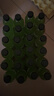 【包装随机发】猕猴桃汁 果味果汁饮料 360mL*12瓶【活动】 实拍图