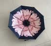 C'mon 防晒太阳伞三折晴雨伞遮阳伞女防紫外线upf50+ 胭脂粉三折伞 实拍图