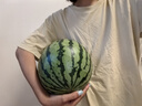 十八子作专业级砍骨专用刀 斩猪牛羊大骨加长加厚砍骨刀S220-2【彩盒装】 实拍图