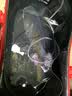 双宝（SHUANGBAO） 双宝战矶竿矶钓竿碳素超硬超轻滑漂专用远投大斜导环长节杆 4.5m 战矶5号不带轮 实拍图