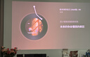 坚果投影（JMGO）N1S 4K特别版 巨幕足球夏日礼盒 三色激光云台投影仪家用 1600CVIA高亮 4K超高清家庭影院国家补贴 实拍图