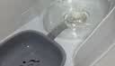 疯狂的主人猫咪狗狗饮水机猫粮全自动喂食器猫碗狗碗用品猫投喂宠物喝水神器 实拍图