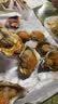 华英（HUAYING）火锅鸭搭子组合530g冷冻去骨鸭掌鸭肠鸭胗花卤味烧烤食材 实拍图