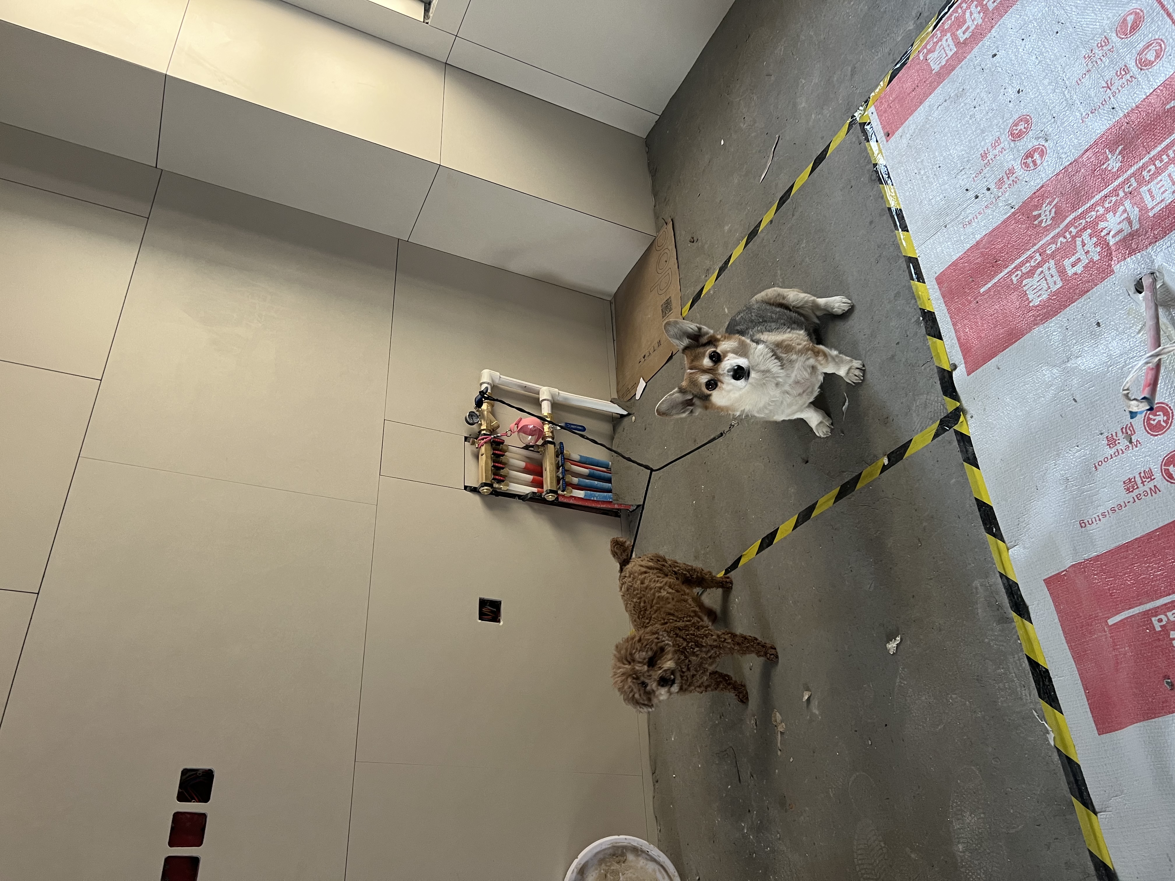三棵树漆（SKSHU）界面剂墙固彩色内墙固沙剂增强基层抗碱防潮地固墙面加固剂拉毛剂 【透明】18kg 附带工具 实拍图