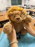 Jellycat波浪毛狮子动物毛绒玩偶公仔安抚潮玩娃娃送礼生日礼物 波浪毛狮子 Medium 实拍图