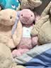 Jellycat害羞乳白色邦尼兔动物毛绒玩偶安抚玩偶娃娃送礼生日礼物 害羞粉色郁金香邦尼兔 Medium 实拍图