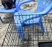 腆宠狗笼狗窝猫笼狗笼子中小型犬带厕所猫笼子大号家用室内狗围栏兔笼 实拍图