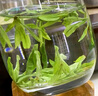 醉茗山2026年明前新茶 龙井500克正宗杭州豆香绿茶鲜芽嫩芽浓香型散装 实拍图