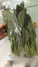 大菠菜300g 实拍图