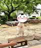 牧童儿童拖鞋26夏季宝宝护趾洞洞鞋男童软底户外沙滩鞋女童 豆乳绿130 实拍图