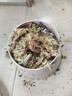 史丹利水苔150g 蝴蝶兰专用土干苔藓养兰花的营养土优质文石斛心兰乌龟 实拍图