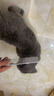 HELLOJOY宠物猫咪狗狗排梳猫梳子宠物去浮毛开结钢梳布偶长毛猫专用猫毛梳 实拍图
