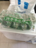 德华40支德华手包红豆绿豆雪糕70g/支 网红冰棒冰淇淋 奶味冰棍冰激凌 德华手包绿豆40支(2.8kg) 实拍图